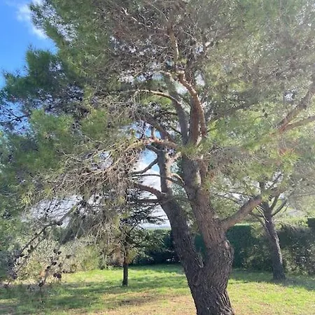 Holiday home Maison Proche Du Du Salagou Clermont-l'Herault